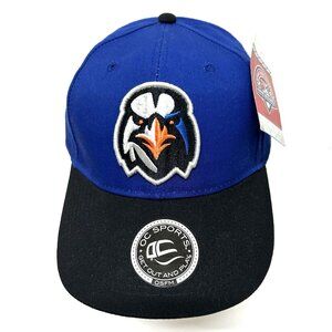 NWT Vintage Aberdeen Ironbirds Minor League Baseball Hat Adjust. Cap Hat Blue Bk